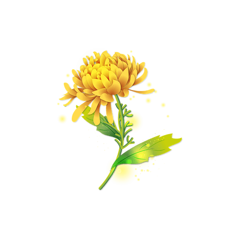 矢量菊花图片大全