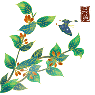 插画龙图片大全