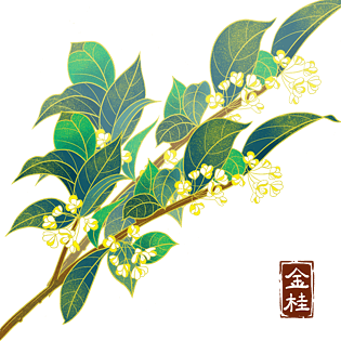 手绘中国风桂花植物元素