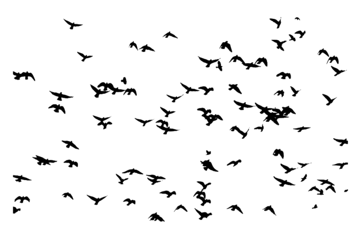 飞翔的鸟群鸟剪影装饰元素