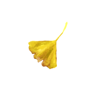 秋天黄色金色飘落银杏叶免扣矢量素材