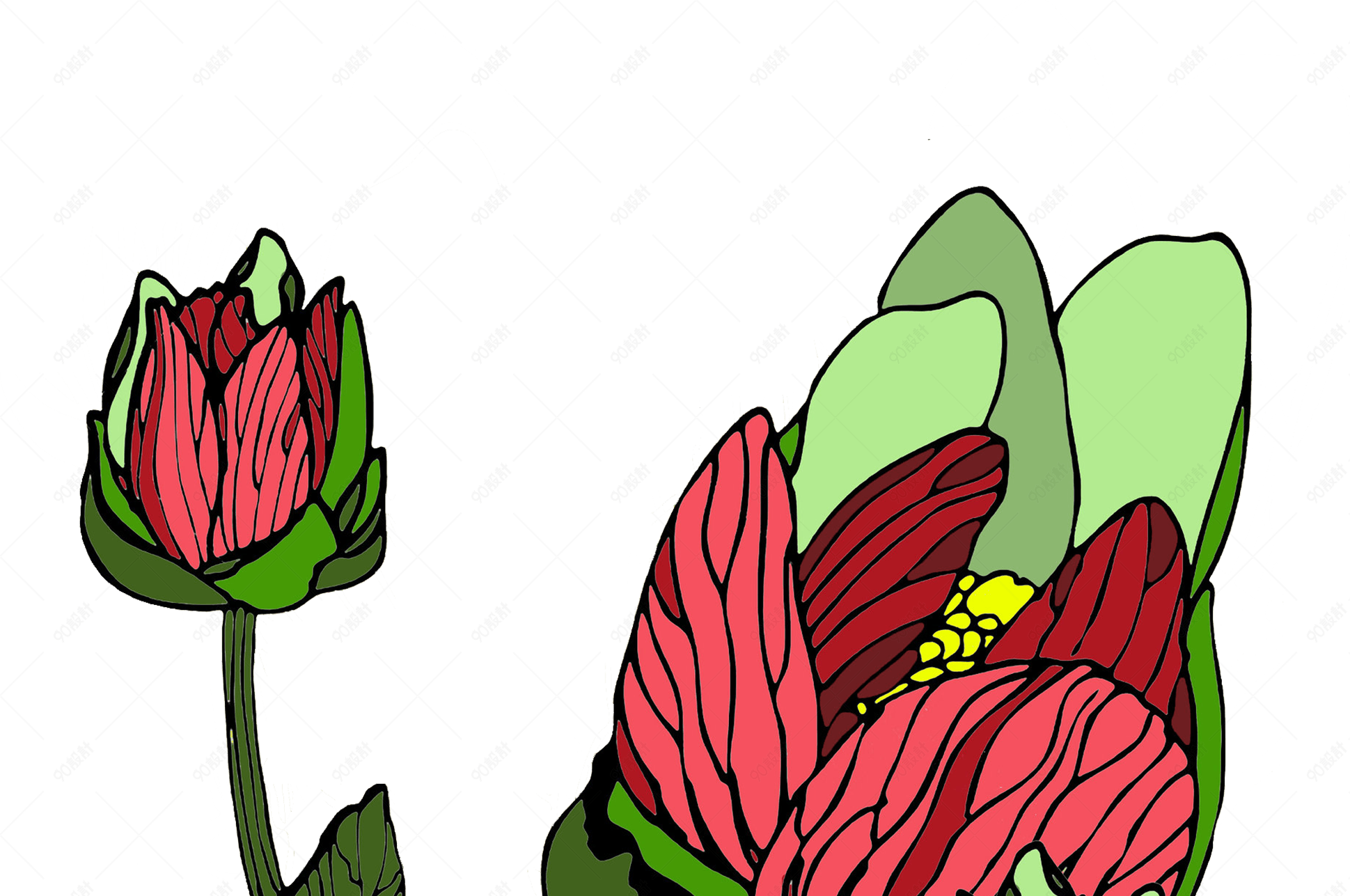 手绘装饰花卉png免抠