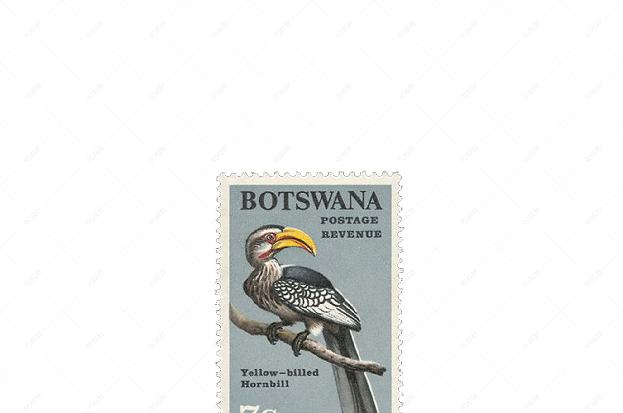 邮票鸟类邮票png免扣素材