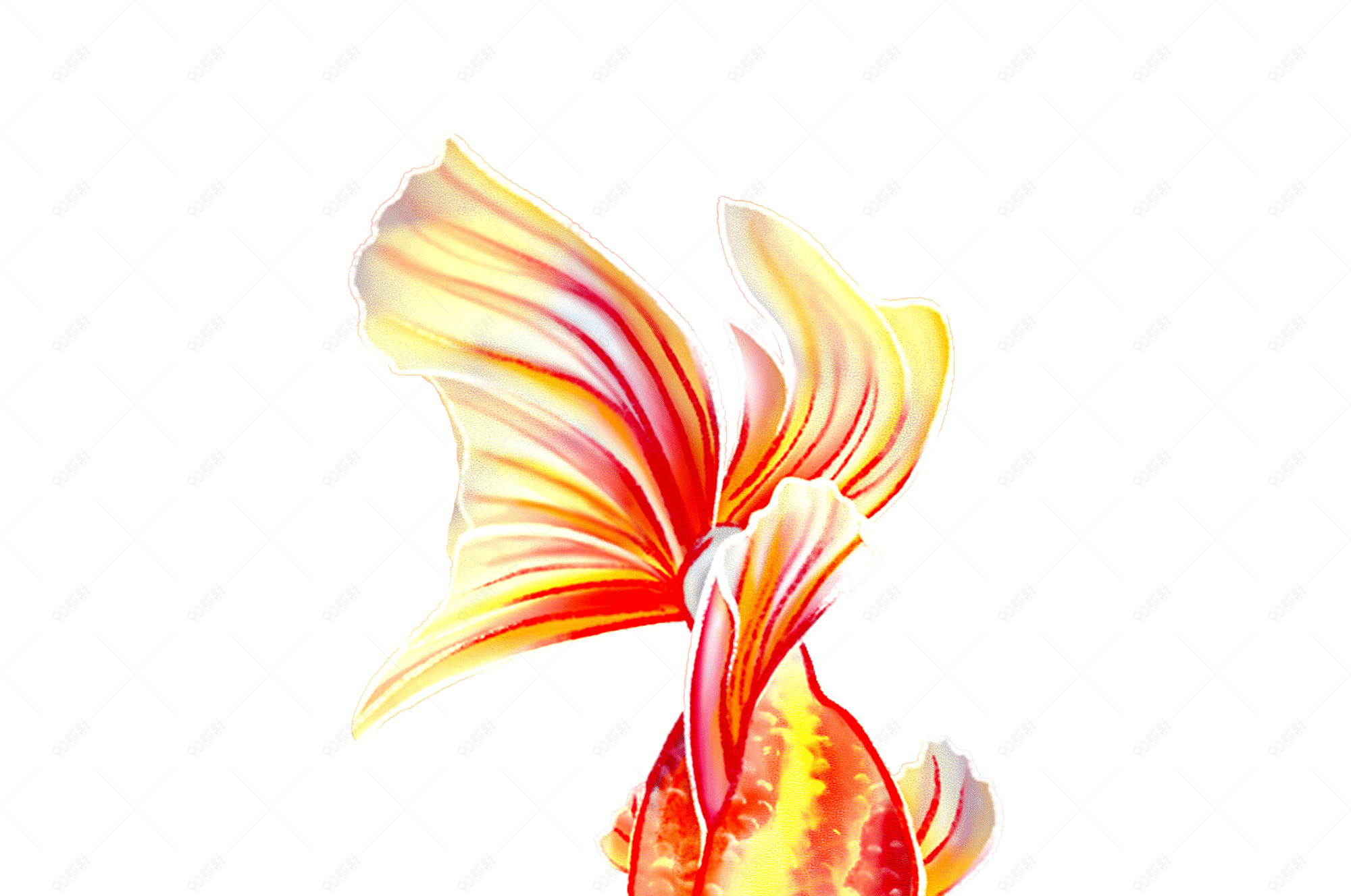 手绘水彩金鱼图案素材