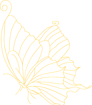 手绘卡通蝴蝶图片大全