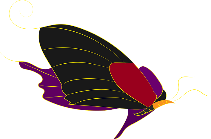 蝴蝶彩色图片大全