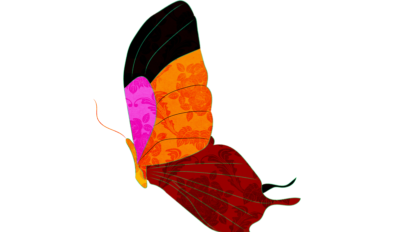 手绘卡通古风花瓣蝴蝶素材元素