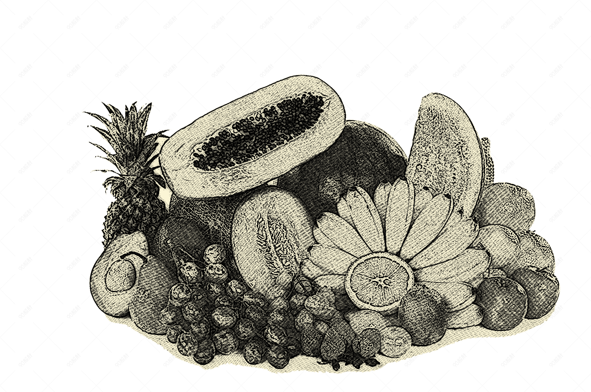 水果集合素描线稿