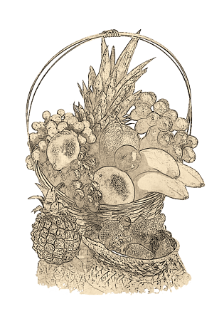 手绘素描线稿水果果篮