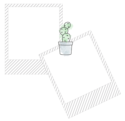 手绘黑白仙人掌留言框