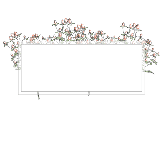 植物文本框图片大全