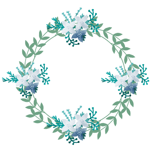 白色花边图片大全