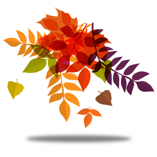 枫叶矢量图图片大全