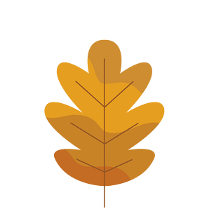 枫叶矢量图图片大全