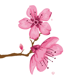 免抠图pngpngpsd2000*2000桃花插画背景粉色可爱手绘pngpsd2000*2000