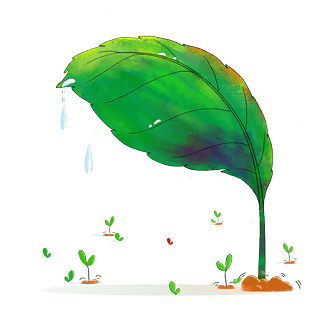 手绘绿色创意露珠树叶