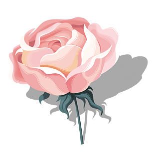 粉色时尚唯美矢量玫瑰花朵