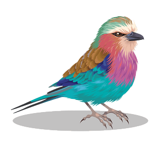 唯美七彩矢量小鸟pngpsd2000*2000矢量图手绘七夕桃心标签pngpsd2000*