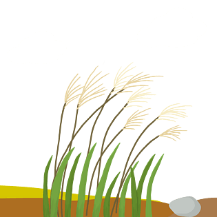 芦苇手绘图片大全