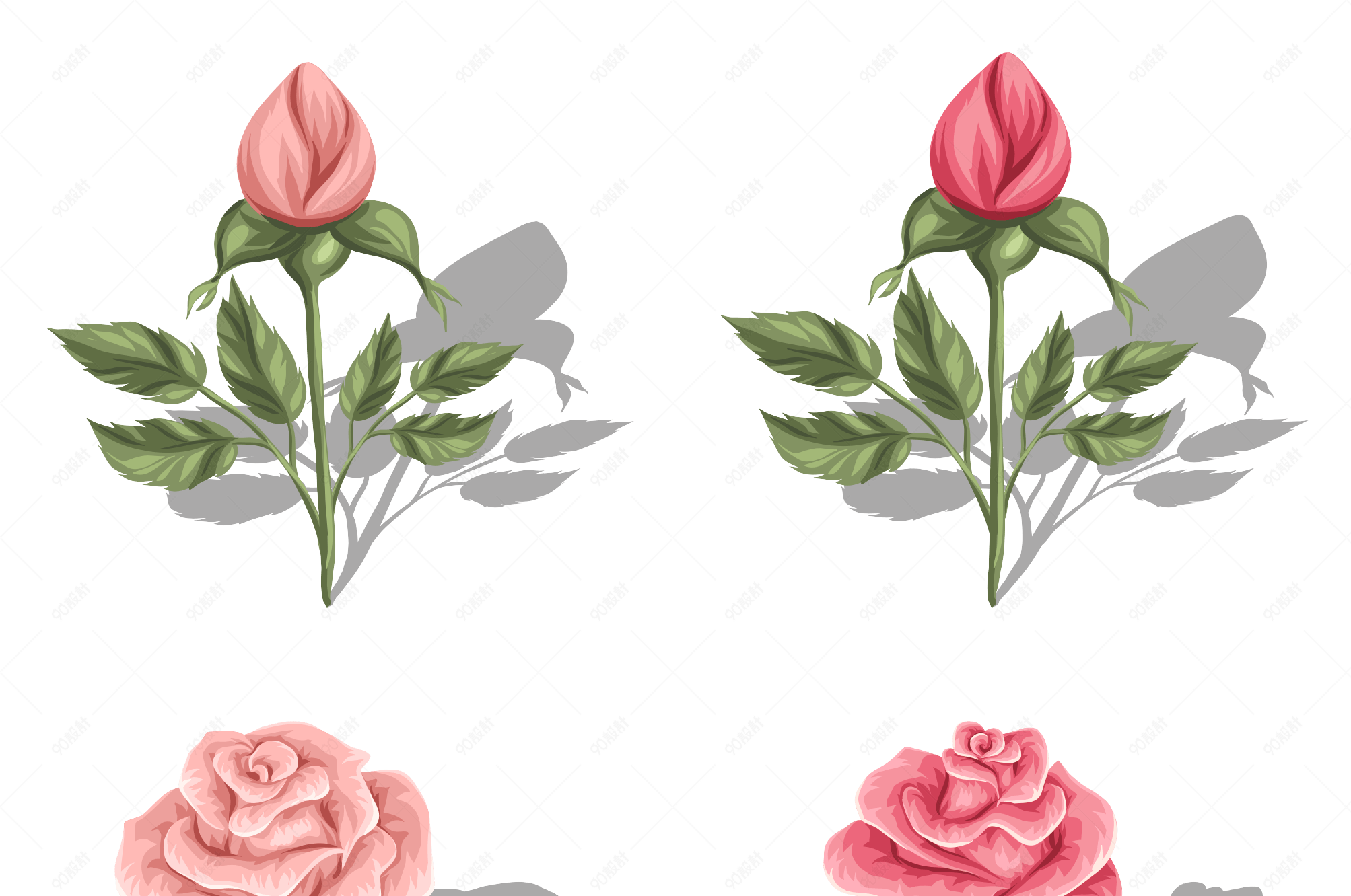 矢量唯美玫瑰花朵花蕾