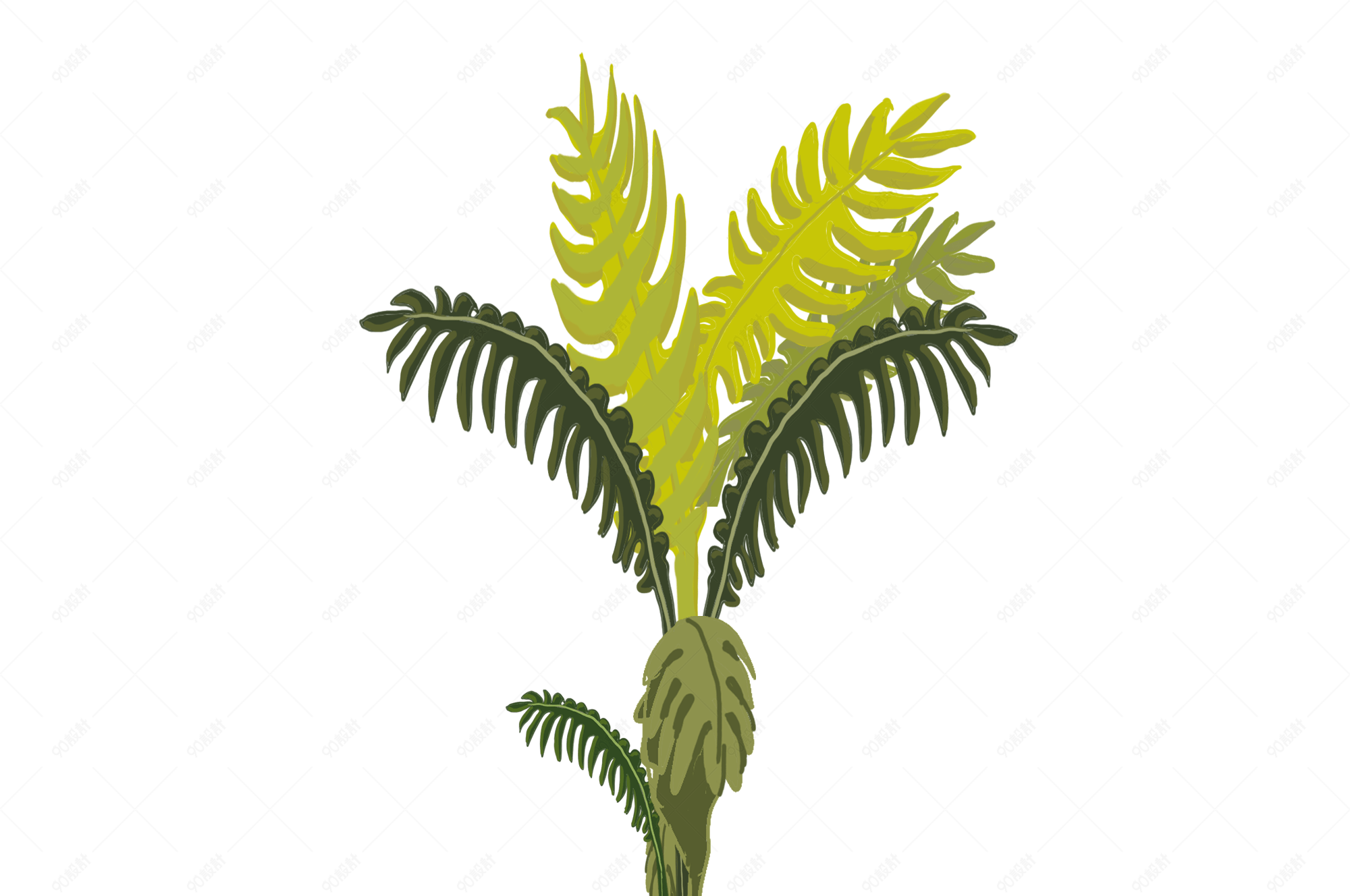 手绘绿色植物盆栽