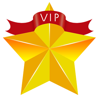 vip会员贵宾图标
