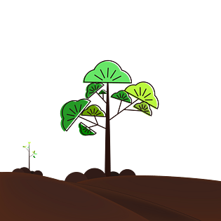 ai矢量植树节小树苗pngpsd2000*2000光合作用绿色环保