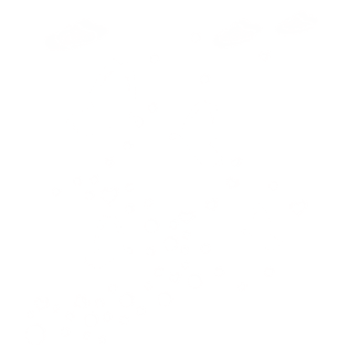 水晶蝴蝶气泡装饰矢量png素材