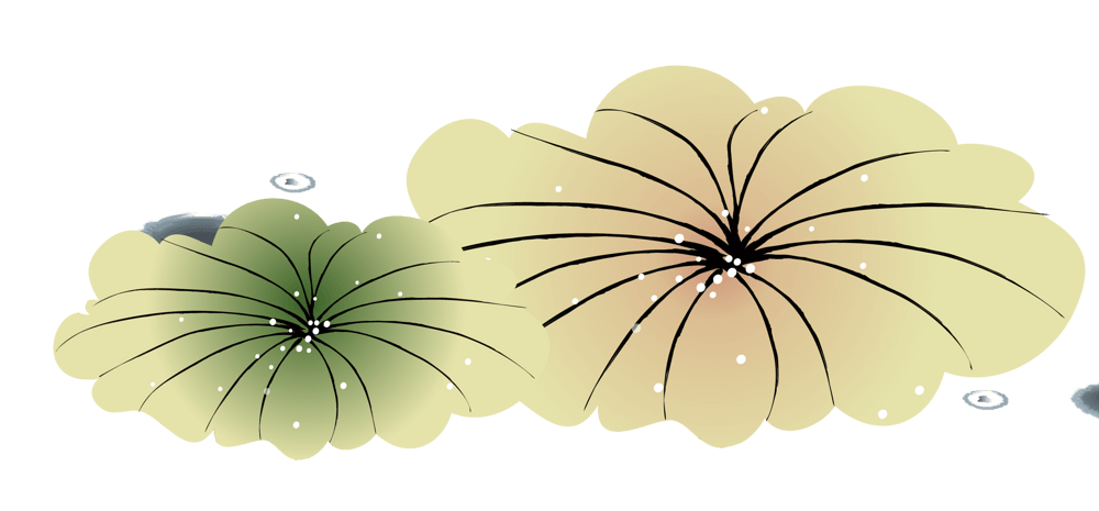 卡通手绘绿色荷叶图片大全