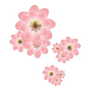 春季 卡通 粉色桃花  装饰图案 免抠图png