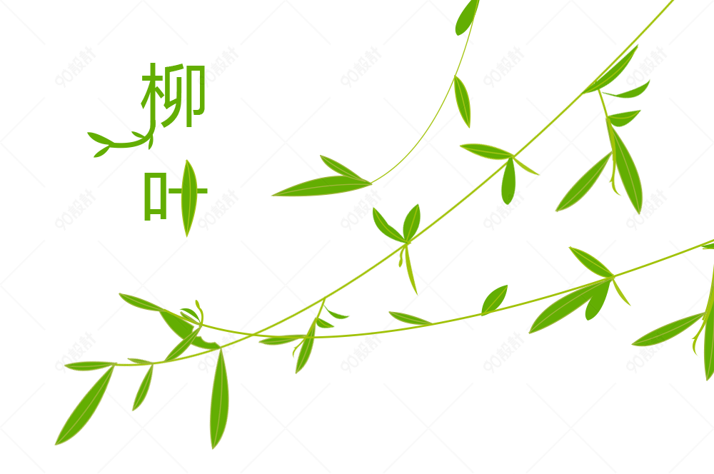 分发芽的三条嫩绿柳叶