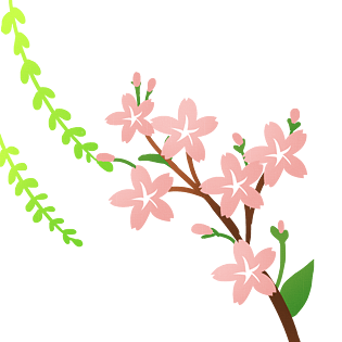 春天樱花柳条装饰图案