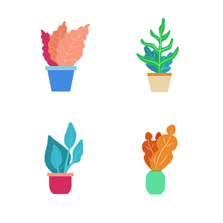 植物芭蕉叶图片大全