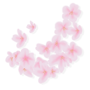 樱花素材图片大全