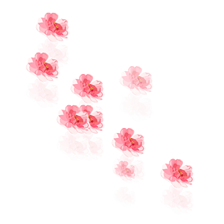 樱花漂浮png素材