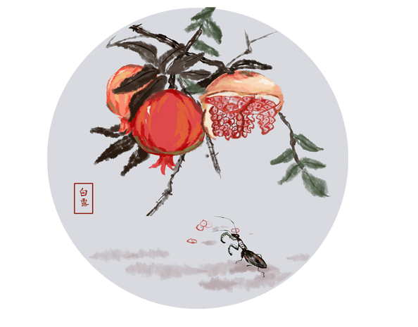 水果果树图片大全