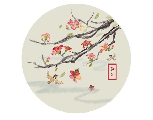 24节气春分木棉花水墨画
