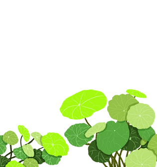 手绘植物绿色荷叶