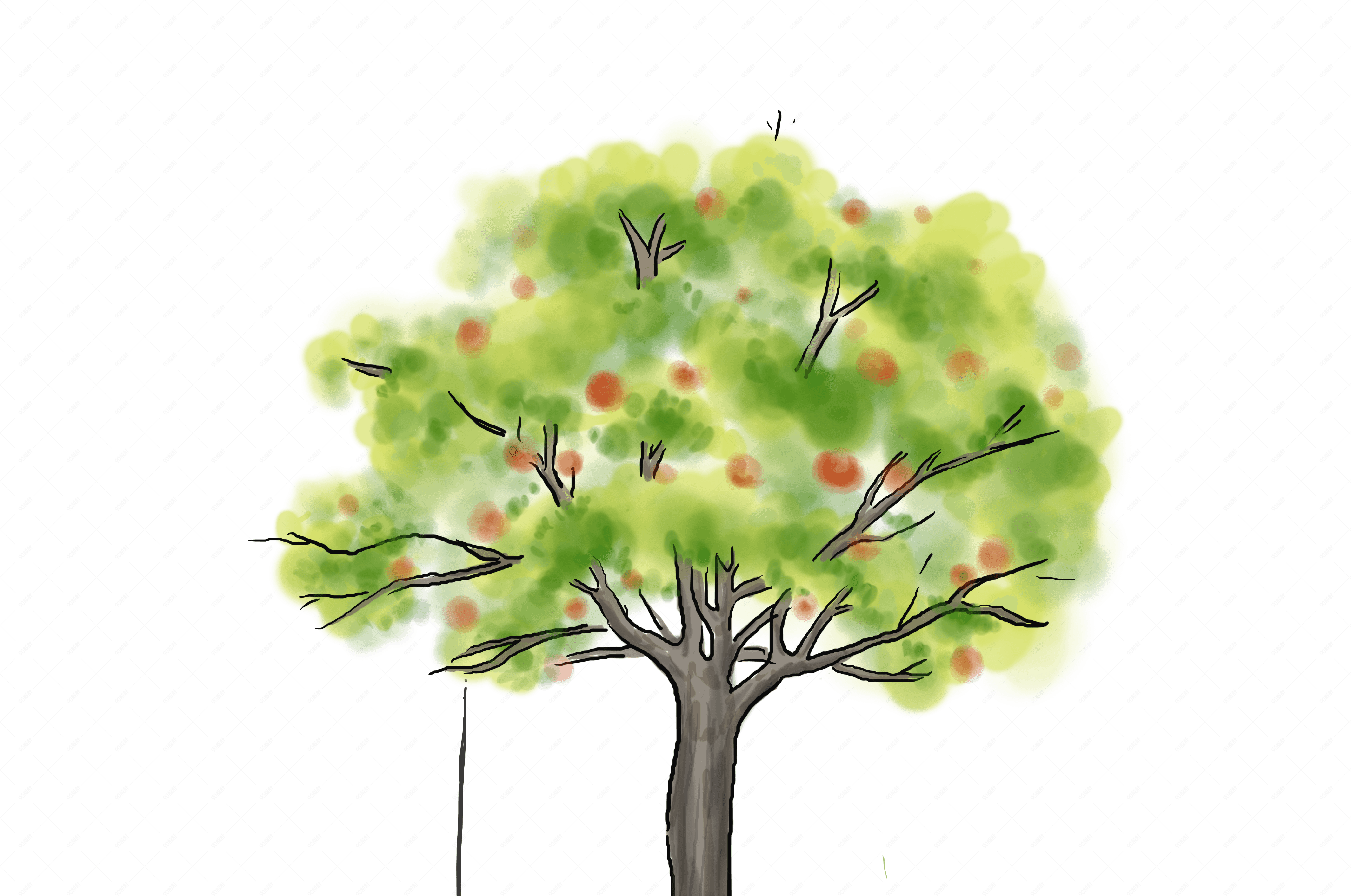 劳动节手绘苹果树