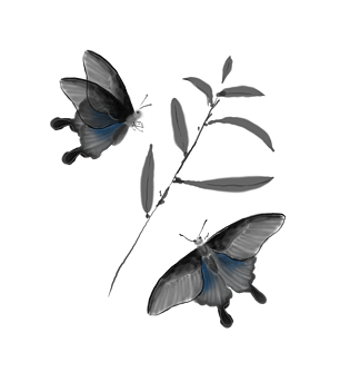 古风蝴蝶图片大全