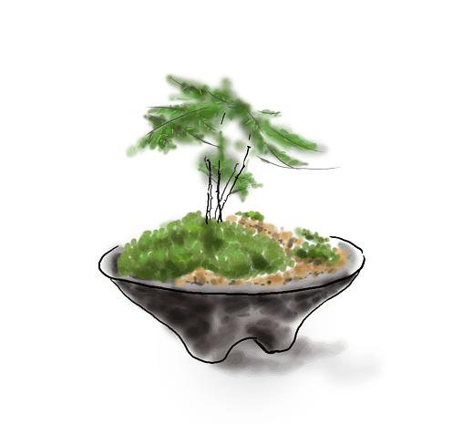 中国水墨手绘文竹