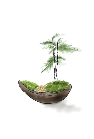 中国水墨手绘文竹