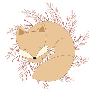 治愈系睡觉的萌狐狸