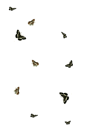 手绘唯美蝴蝶漂浮素材
