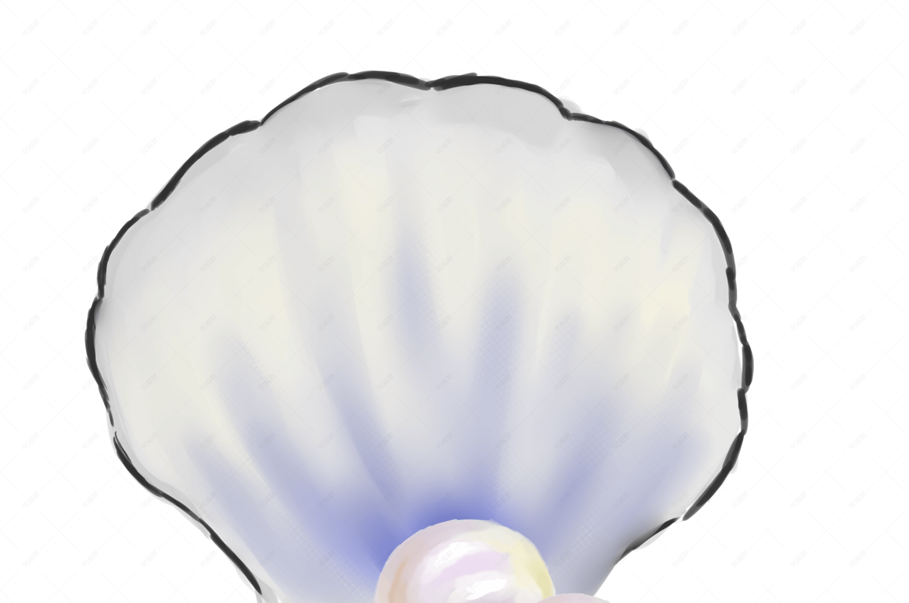 手绘贝壳珍珠装饰素材