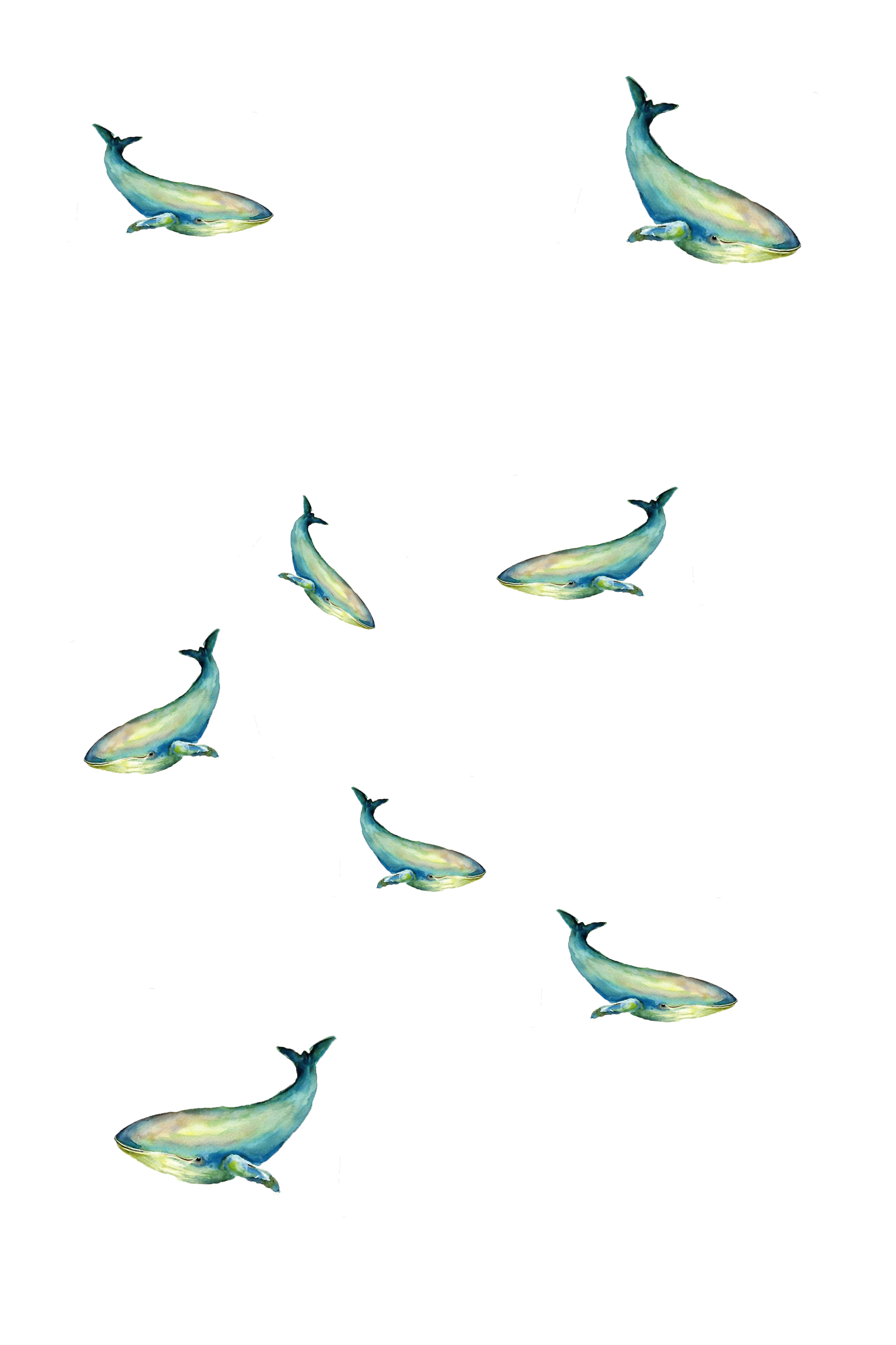 鲸鱼手绘生动鲸鱼漂浮素材