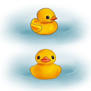 手绘玩具两只小黄鸭