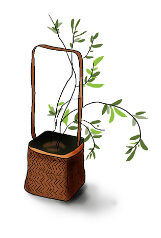 手绘种植图片大全