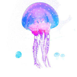 元素电脑端 手机端蓝色海底水母乌贼元素电脑端 手机端家乡的山坡免抠