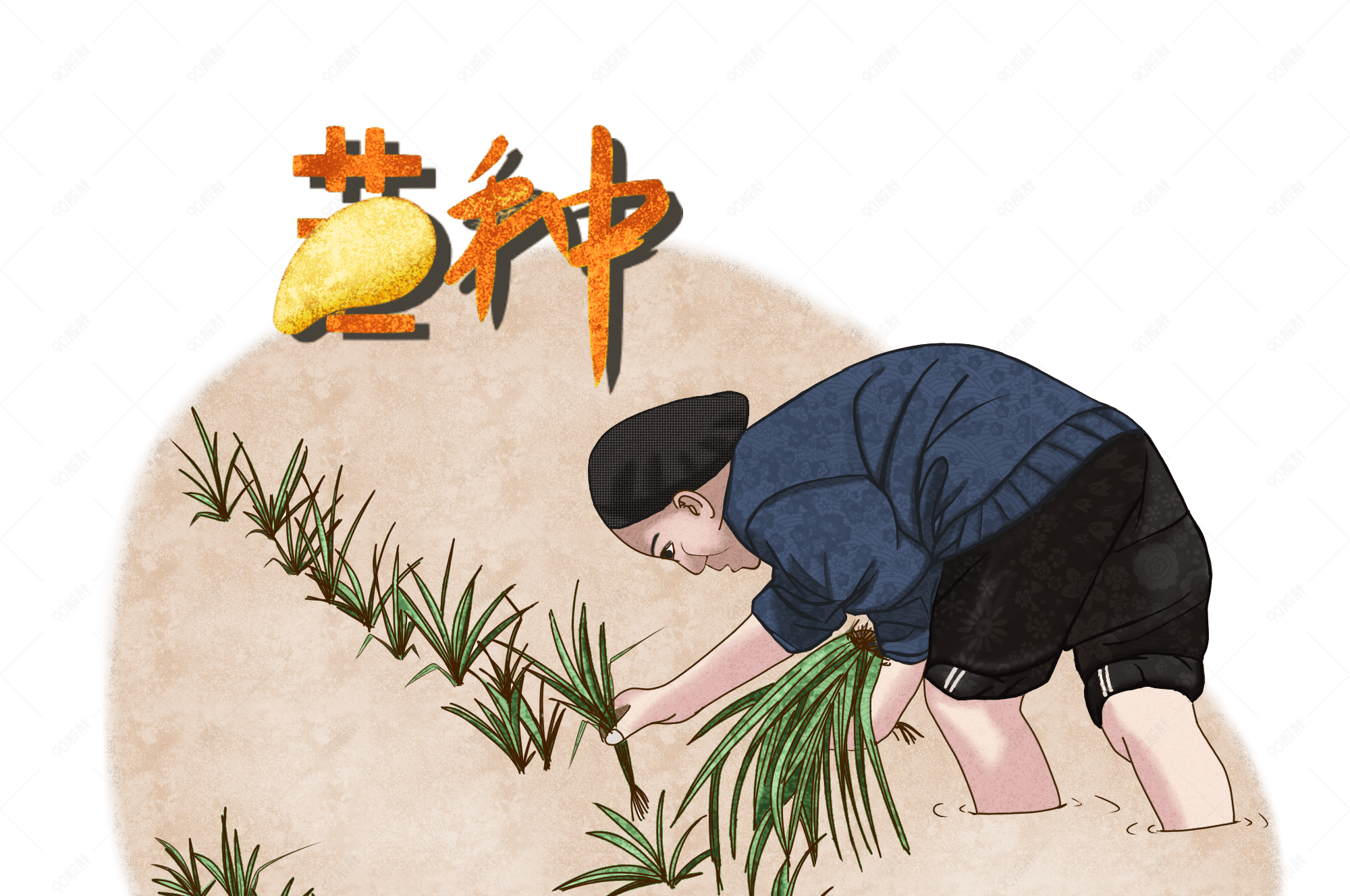 二十四节气之芒种手绘老人插秧png图片